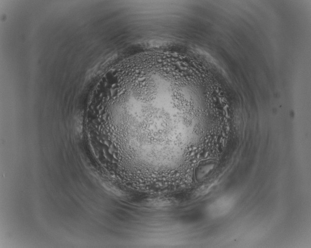 X0000072940545200607211104