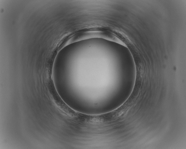 X0000072940546200607211104