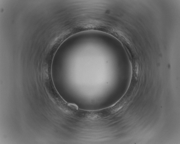 X0000072940547200607211104