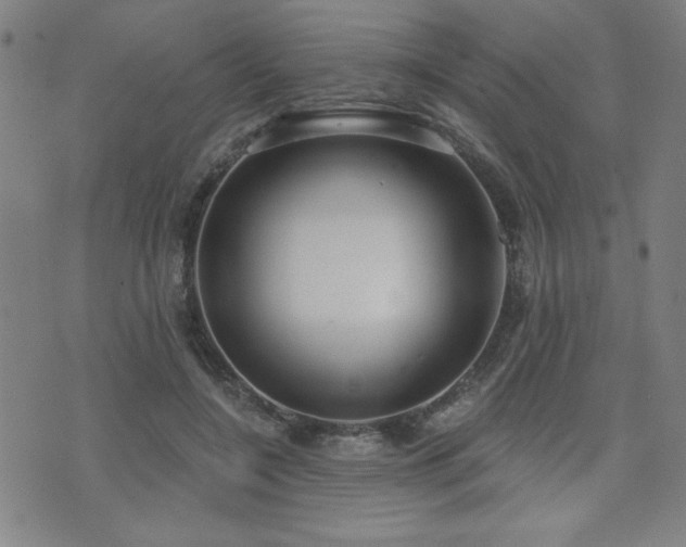 X0000072940548200607211104