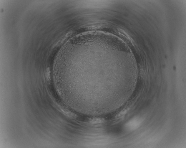 X0000072940549200607211104