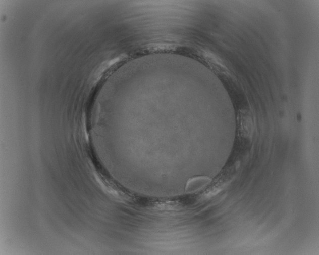 X0000072940550200607211104