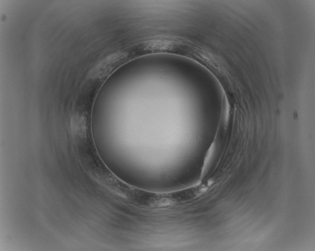 X0000072940551200607211104