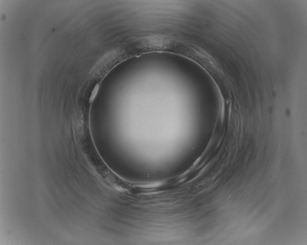 X0000072940552200607211104