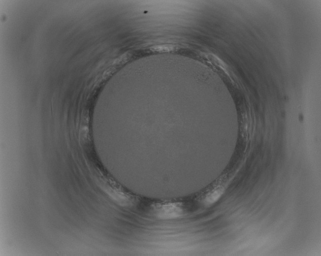 X0000072940553200607211104