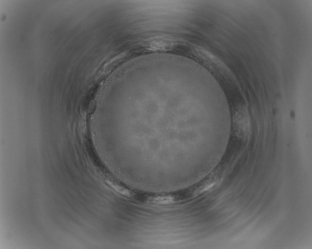 X0000072940554200607211104