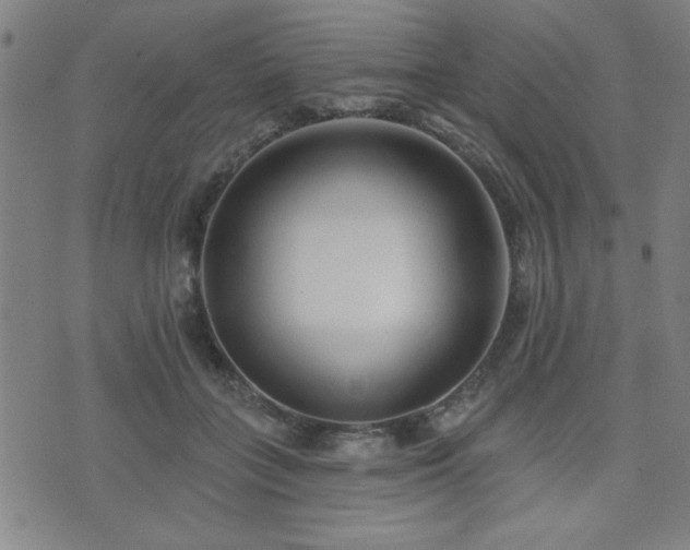 X0000072940555200607211104