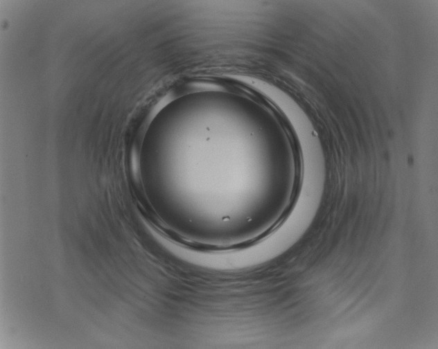 X0000072940556200607211104