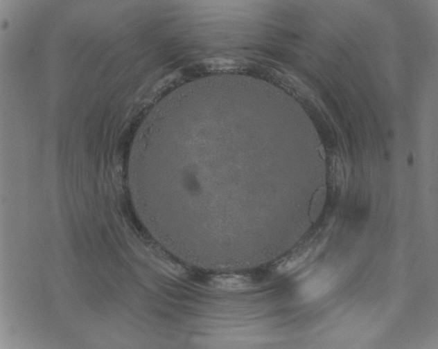 X0000072940557200607211104