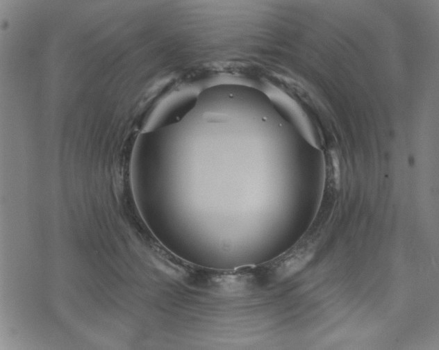 X0000072940558200607211104