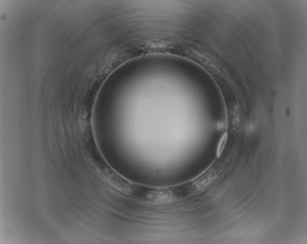 X0000072940559200607211104