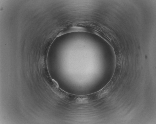 X0000072940560200607211104