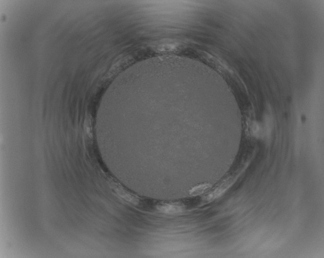 X0000072940561200607211104