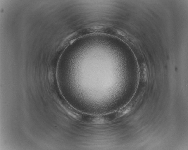 X0000072940562200607211104