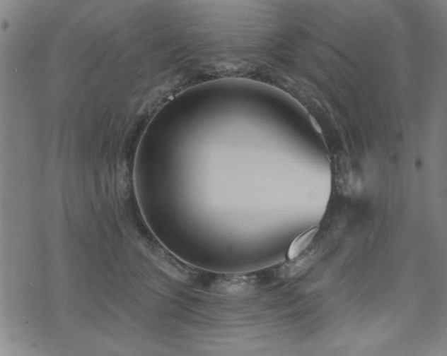 X0000072940563200607211104