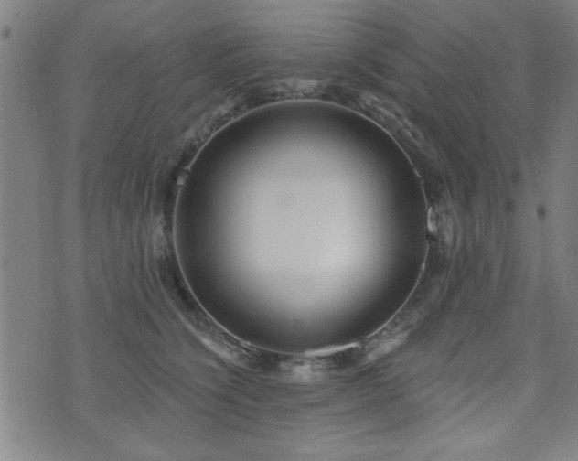 X0000072940564200607211104