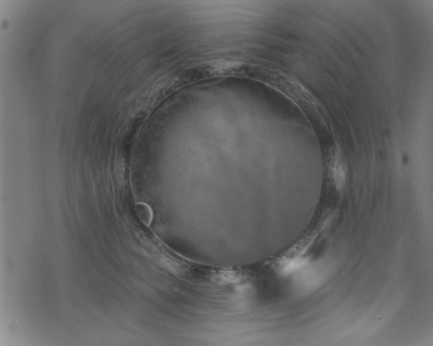 X0000072940565200607211104