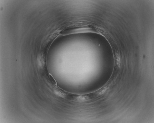 X0000072940566200607211104