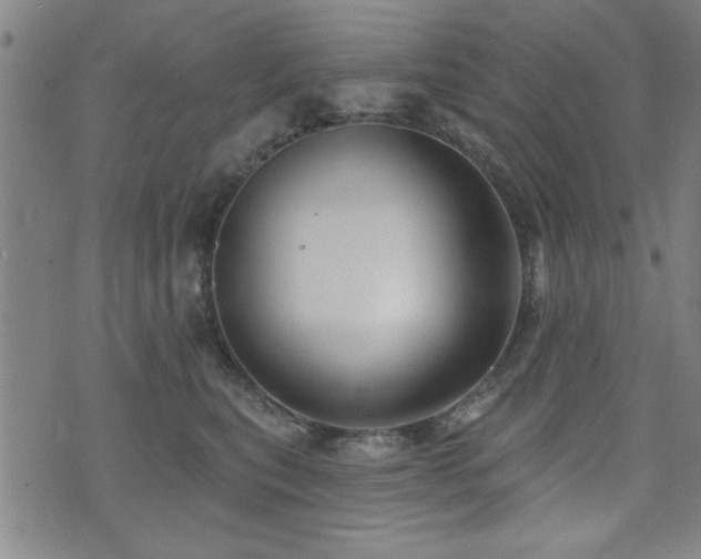 X0000072940567200607211104