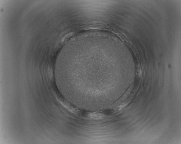 X0000072940568200607211104