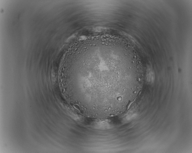 X0000072940569200607211105