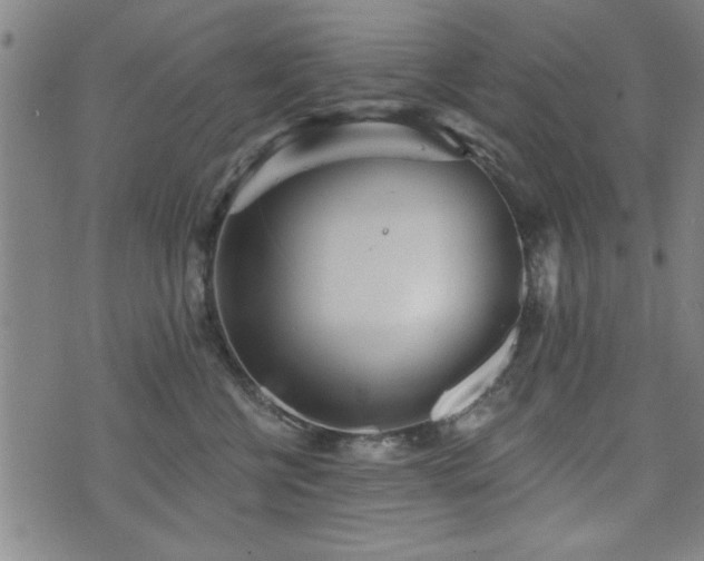 X0000072940570200607211105