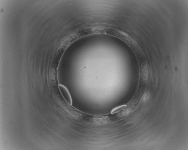 X0000072940571200607211105