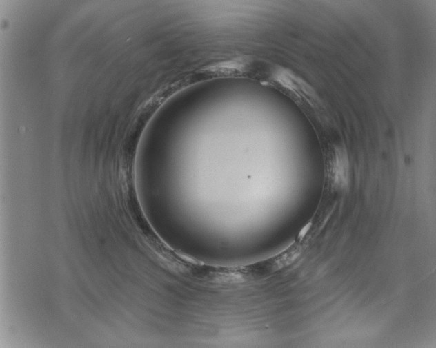 X0000072940572200607211105