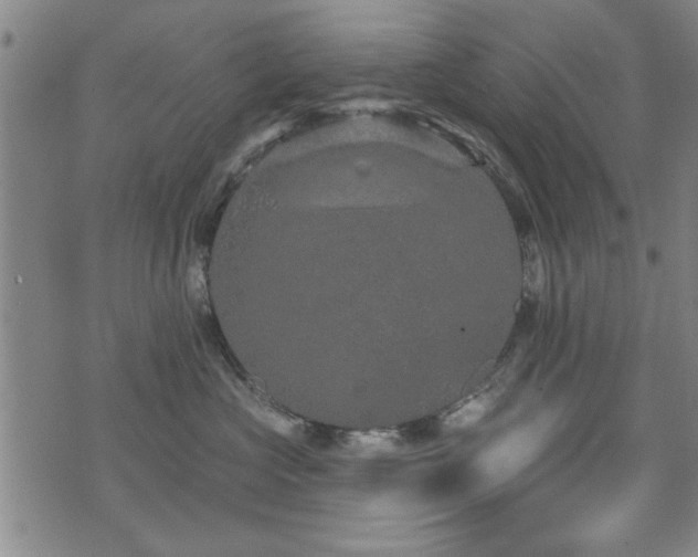 X0000072940573200607211105