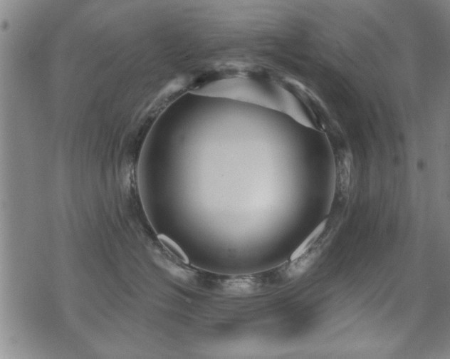 X0000072940574200607211105