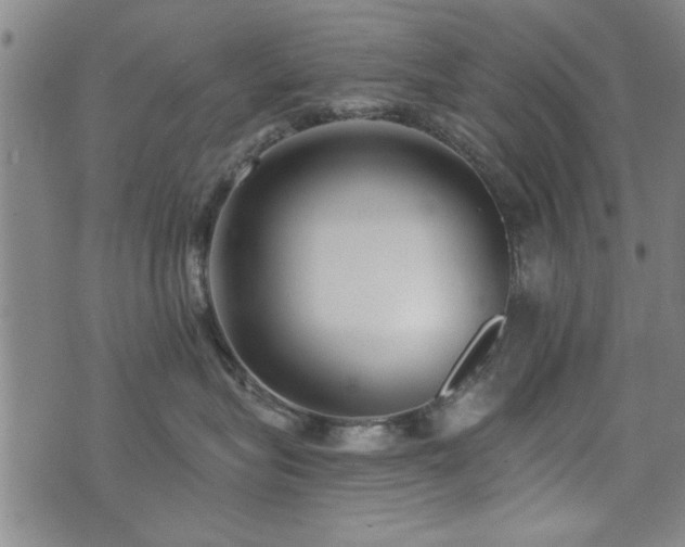 X0000072940575200607211105