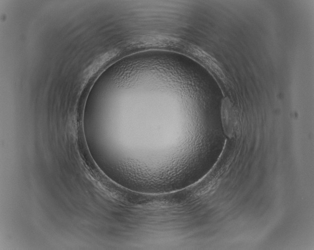 X0000072940578200607211104