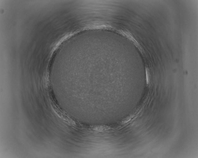 X0000072940579200607211104