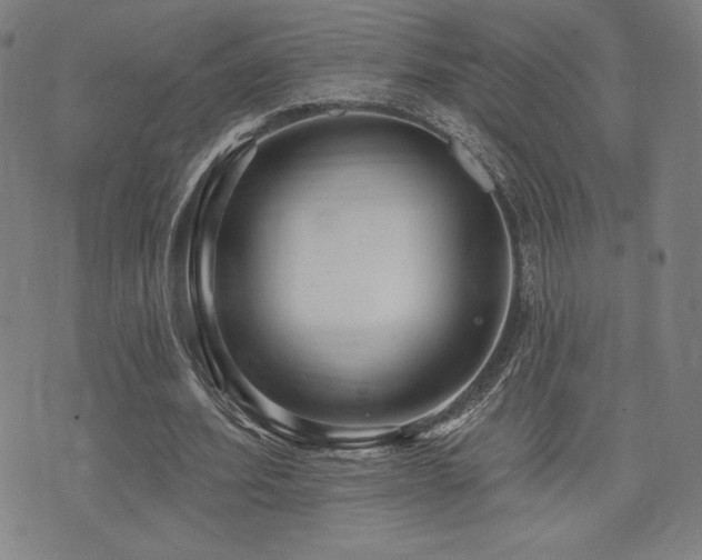 X0000072940580200607211104