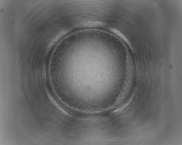 X0000072940581200607211104