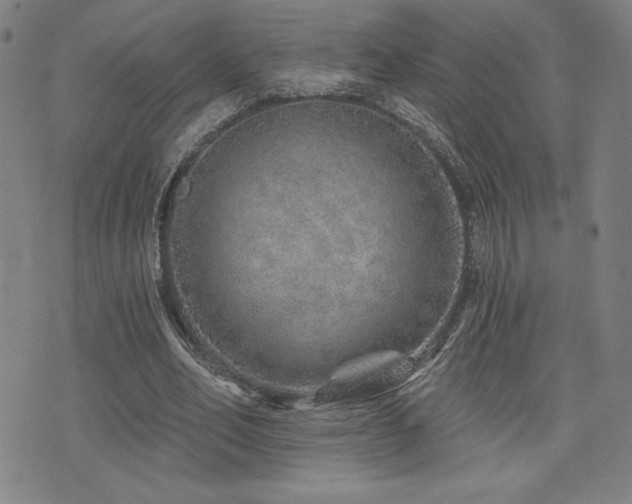 X0000072940582200607211104