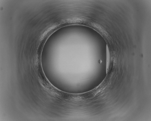 X0000072940583200607211104