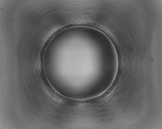 X0000072940584200607211104