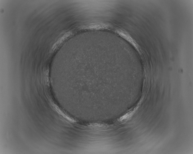 X0000072940585200607211104