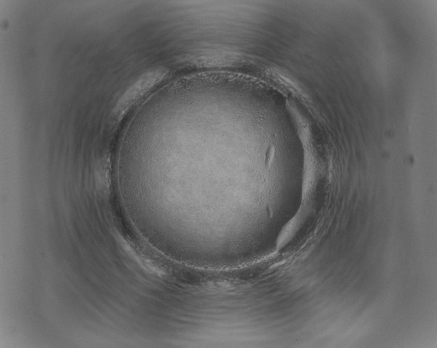 X0000072940586200607211104