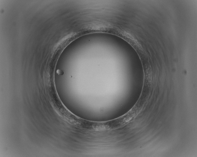 X0000072940587200607211104