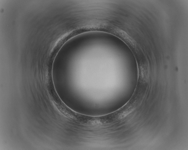 X0000072940588200607211104