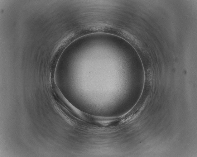 X0000072940589200607211104