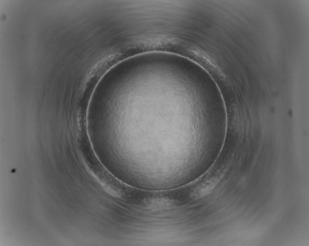 X0000072940590200607211104