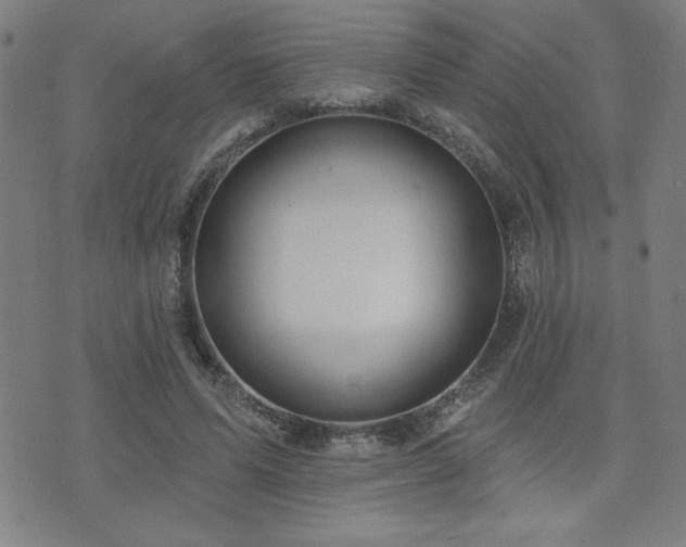 X0000072940591200607211104