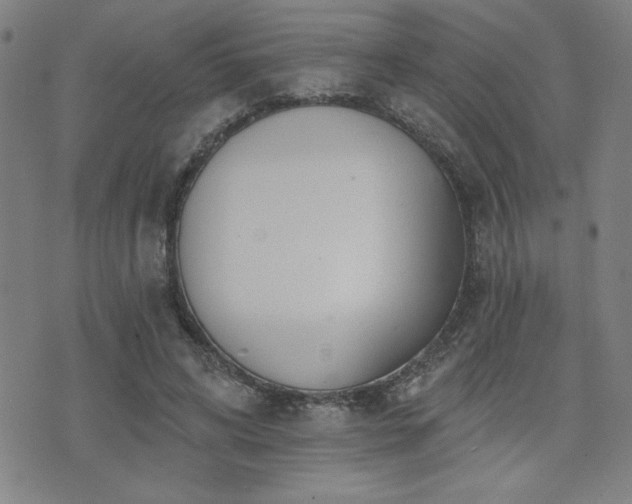 X0000072940592200607211104