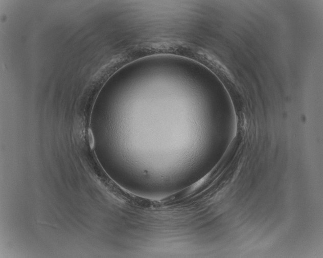 X0000072940593200607211104