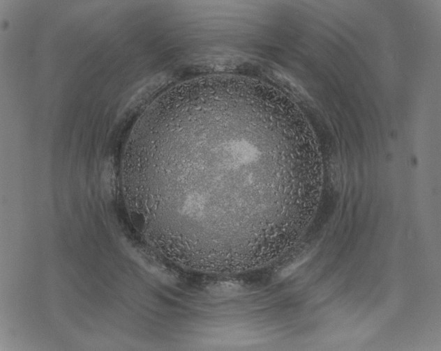 X0000072940594200607211104