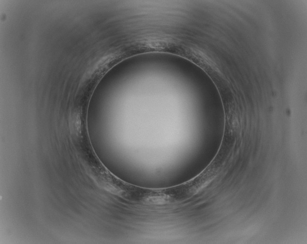 X0000072940595200607211104