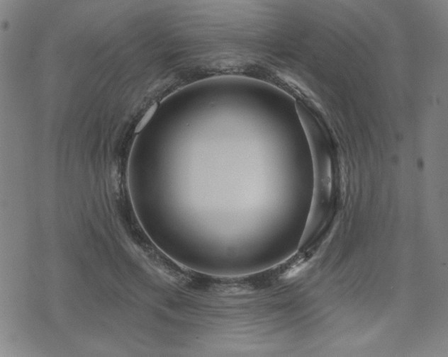 X0000072940597200607211103